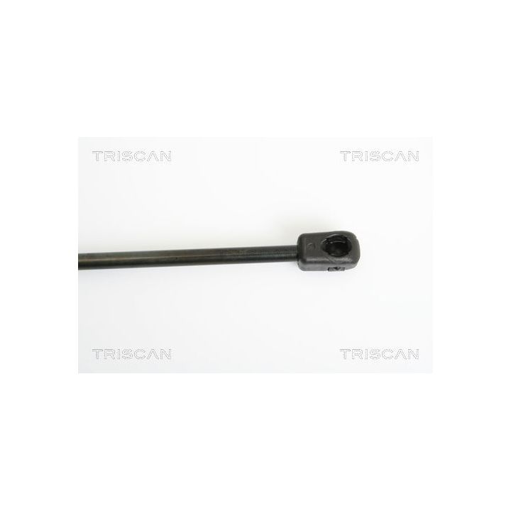 Dujinė spyruoklė, bagažinė TRISCAN 8710 15231