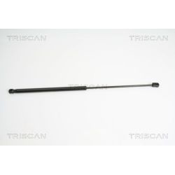Dujinė spyruoklė, bagažinė TRISCAN 8710 15233