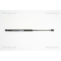 Dujinė spyruoklė, bagažinė TRISCAN 8710 15235