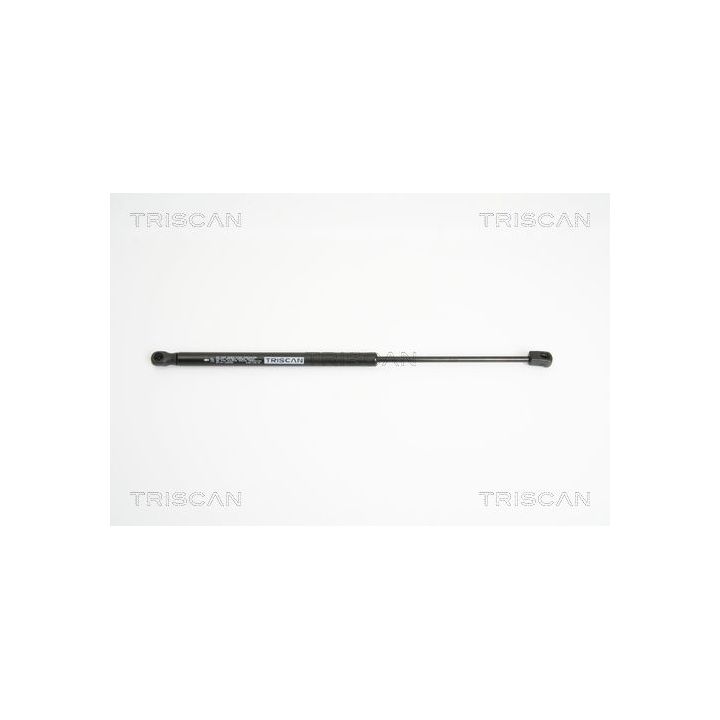 Dujinė spyruoklė, bagažinė TRISCAN 8710 15235