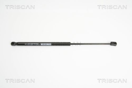 Dujinė spyruoklė, bagažinė TRISCAN 8710 15235