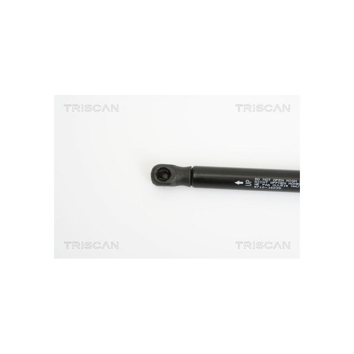 Dujinė spyruoklė, bagažinė TRISCAN 8710 15235