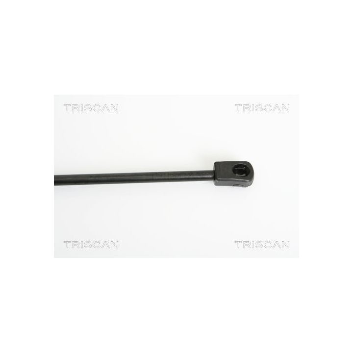 Dujinė spyruoklė, bagažinė TRISCAN 8710 15235