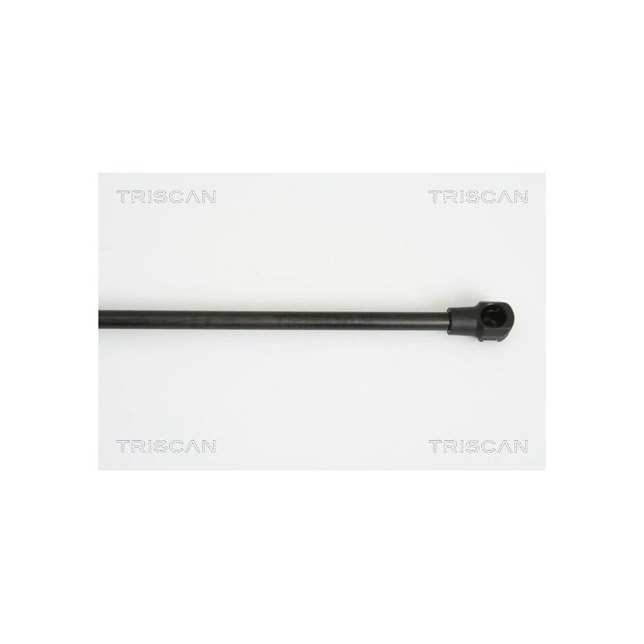 Dujinė spyruoklė, bagažinė TRISCAN 8710 15237