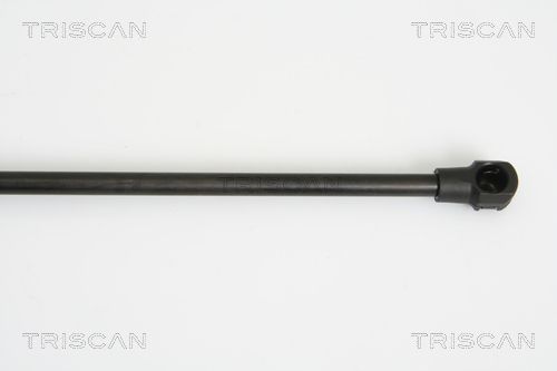 Dujinė spyruoklė, bagažinė TRISCAN 8710 15237