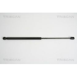 Dujinė spyruoklė, bagažinė TRISCAN 8710 15238