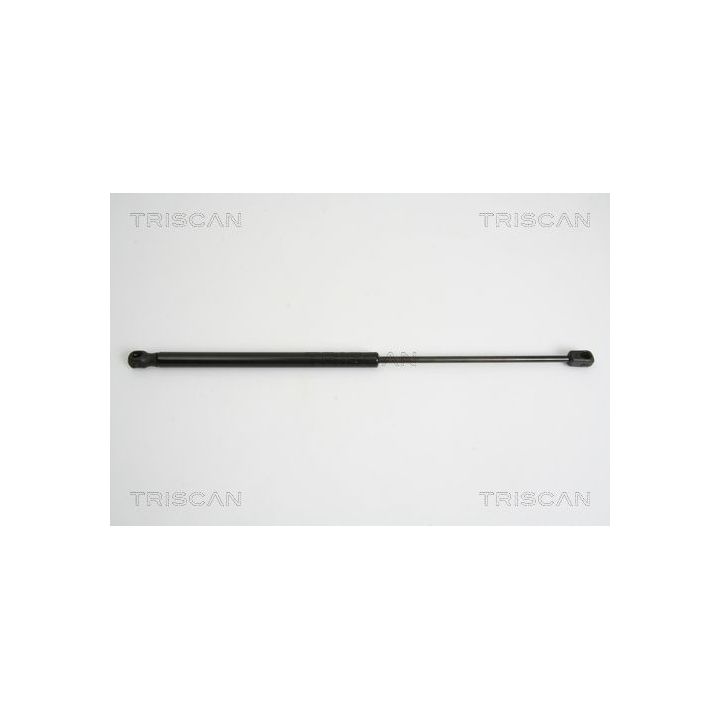 Dujinė spyruoklė, bagažinė TRISCAN 8710 15238