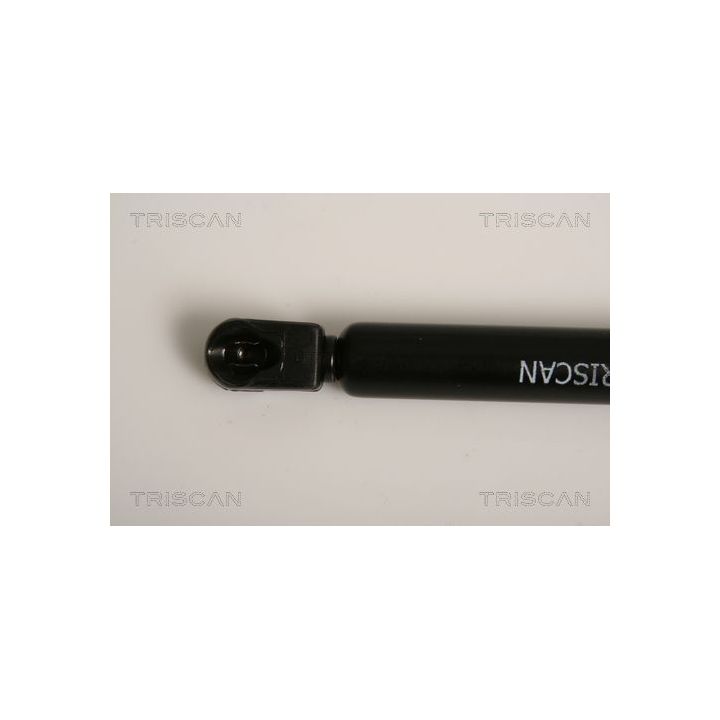 Dujinė spyruoklė, bagažinė TRISCAN 8710 15239