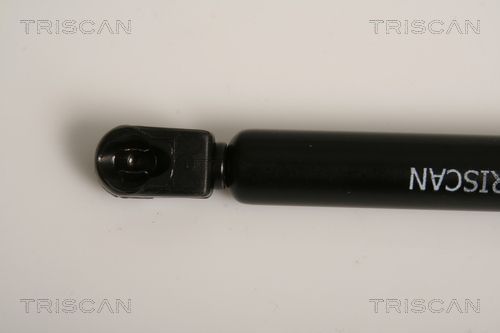 Dujinė spyruoklė, bagažinė TRISCAN 8710 15239