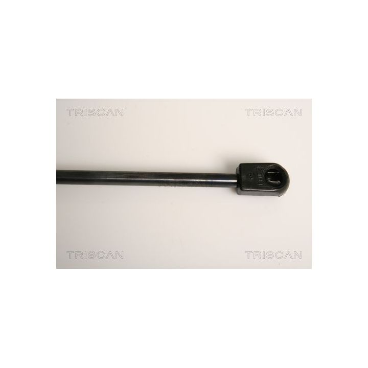 Dujinė spyruoklė, bagažinė TRISCAN 8710 15239