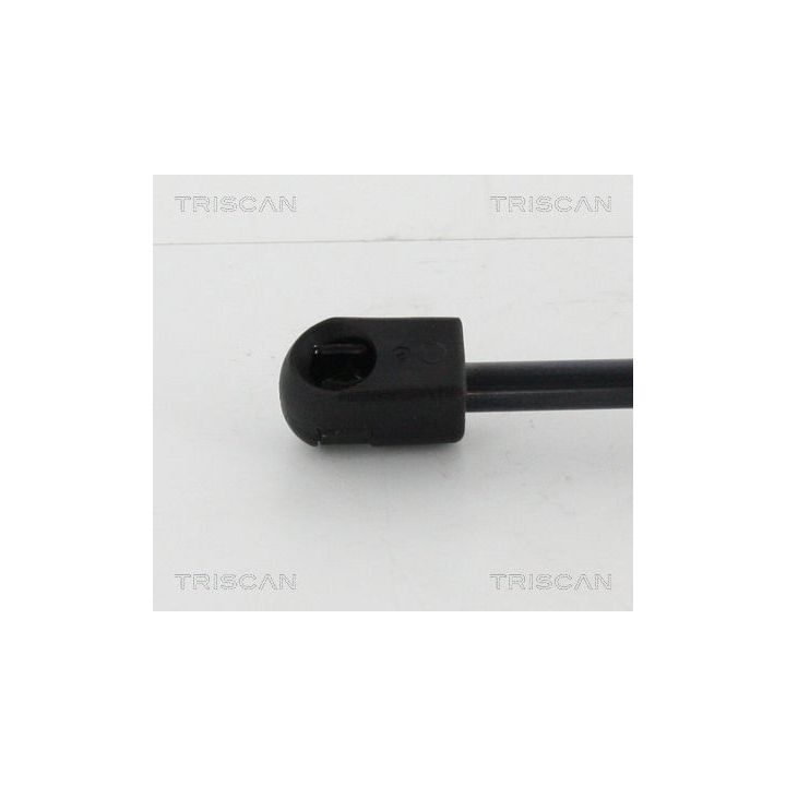 Dujinė spyruoklė, bagažinė TRISCAN 8710 15249