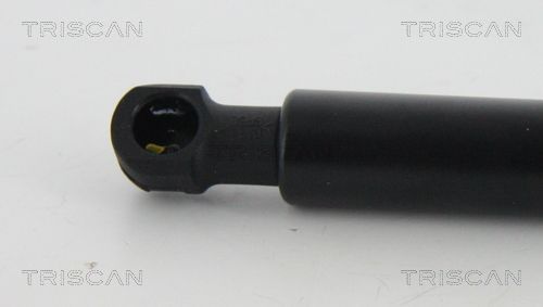 Dujinė spyruoklė, bagažinė TRISCAN 8710 15252