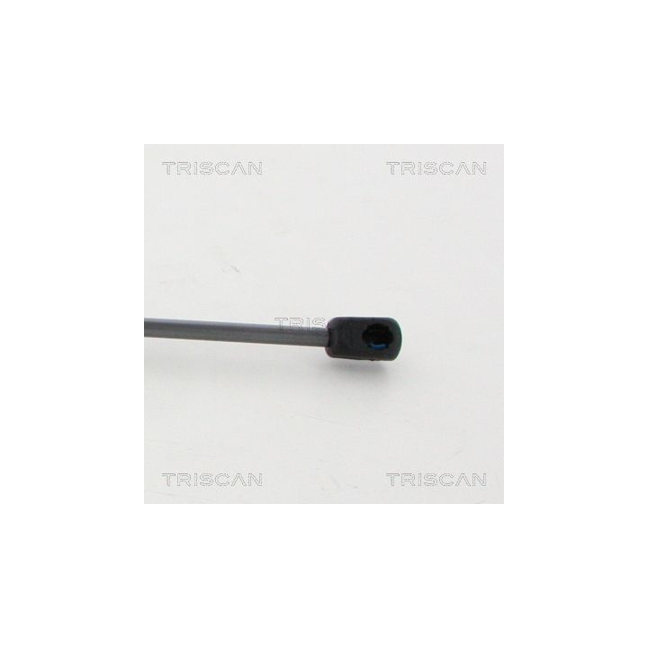 Dujinė spyruoklė, bagažinė TRISCAN 8710 15254