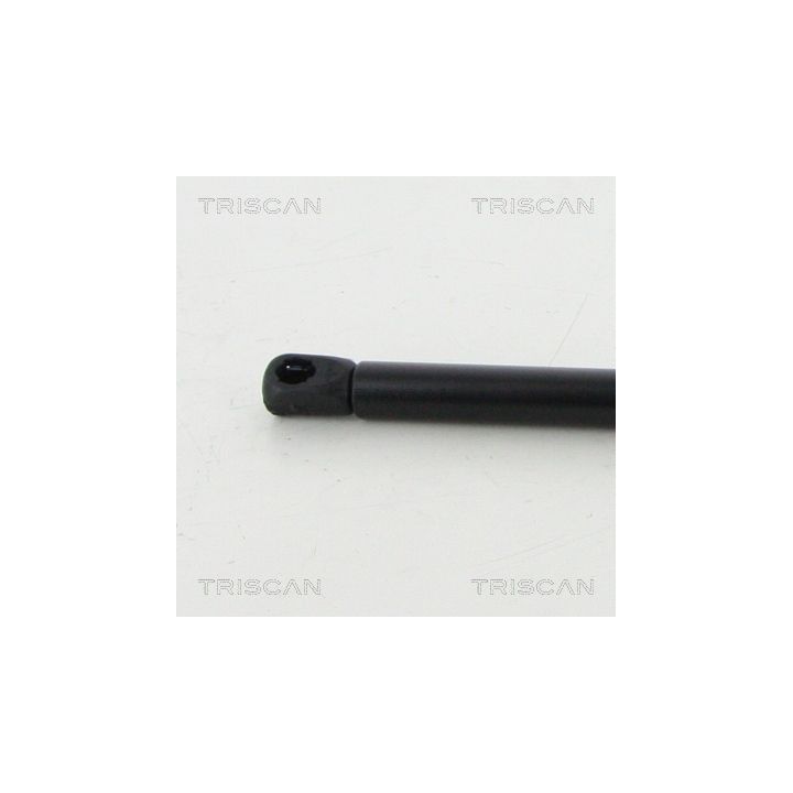 Dujinė spyruoklė, bagažinė TRISCAN 8710 15255