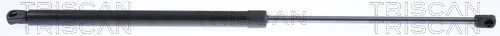 Dujinė spyruoklė, bagažinė TRISCAN 8710 15257