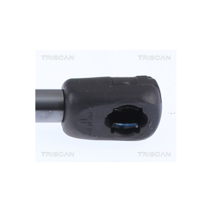 Dujinė spyruoklė, bagažinė TRISCAN 8710 15257