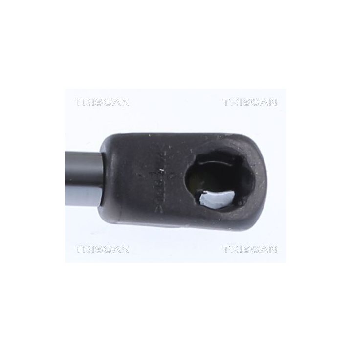 Dujinė spyruoklė, bagažinė TRISCAN 8710 15258