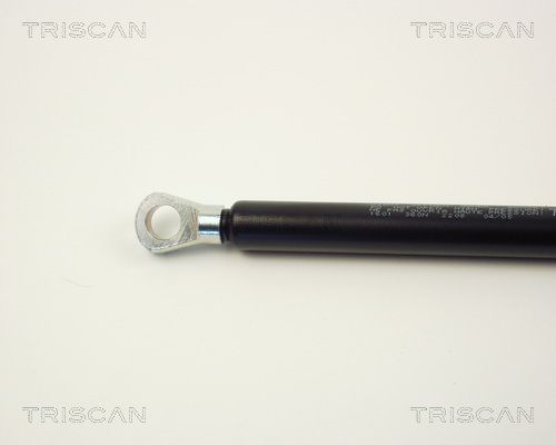 Dujinė spyruoklė, bagažinė TRISCAN 8710 1601