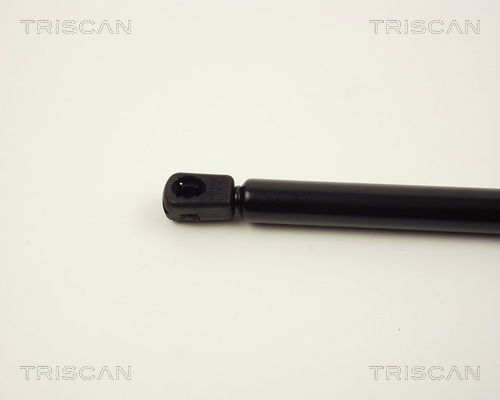 Dujinė spyruoklė, bagažinė TRISCAN 8710 1606