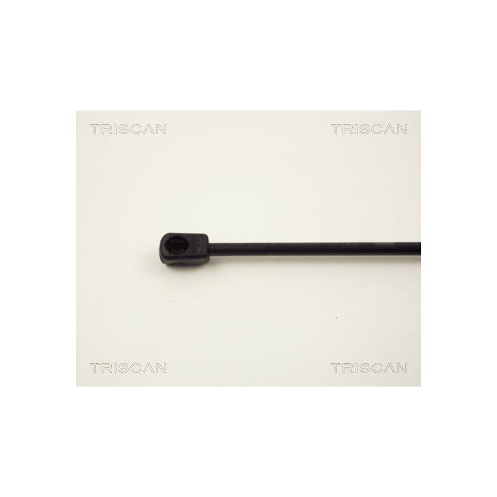 Dujinė spyruoklė, bagažinė TRISCAN 8710 1607