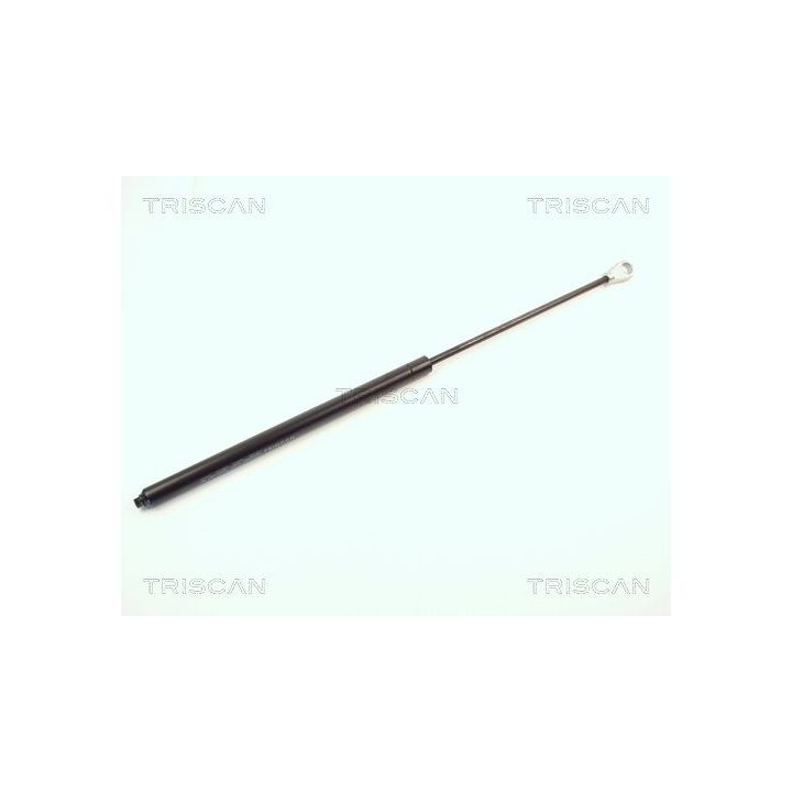 Dujinė spyruoklė, bagažinė TRISCAN 8710 1615