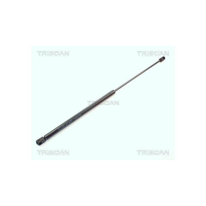 Dujinė spyruoklė, bagažinė TRISCAN 8710 1618