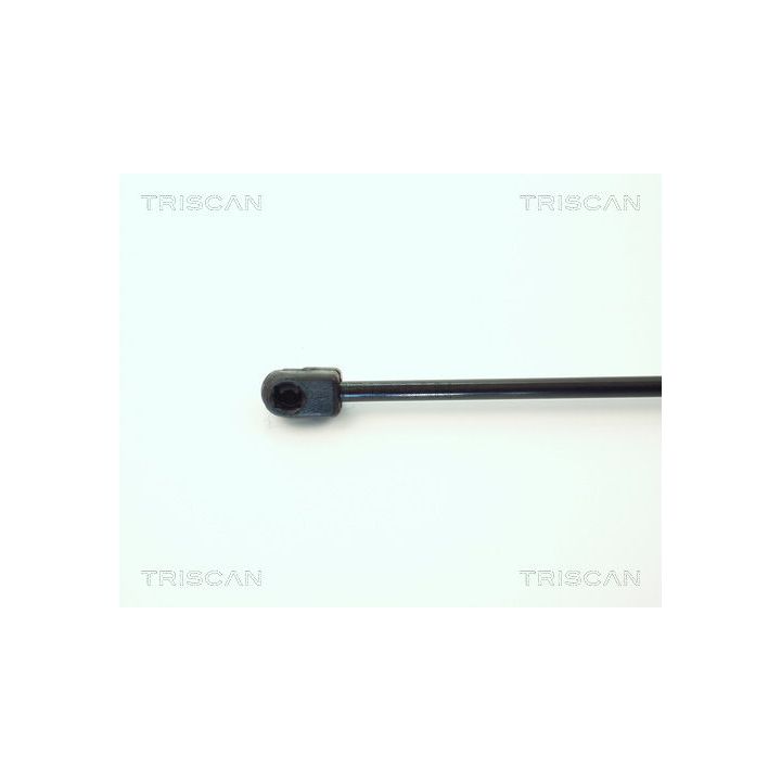 Dujinė spyruoklė, bagažinė TRISCAN 8710 1618