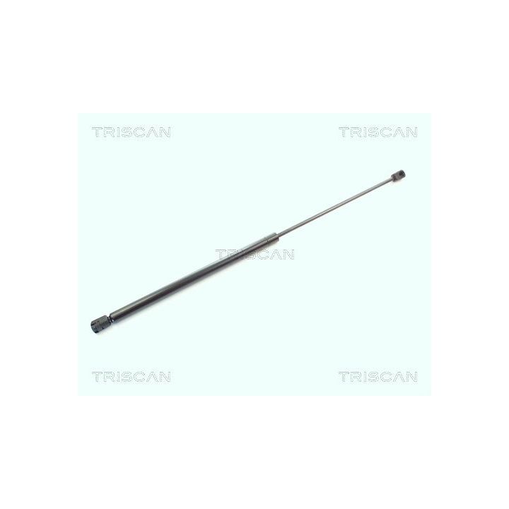 Dujinė spyruoklė, bagažinė TRISCAN 8710 1619