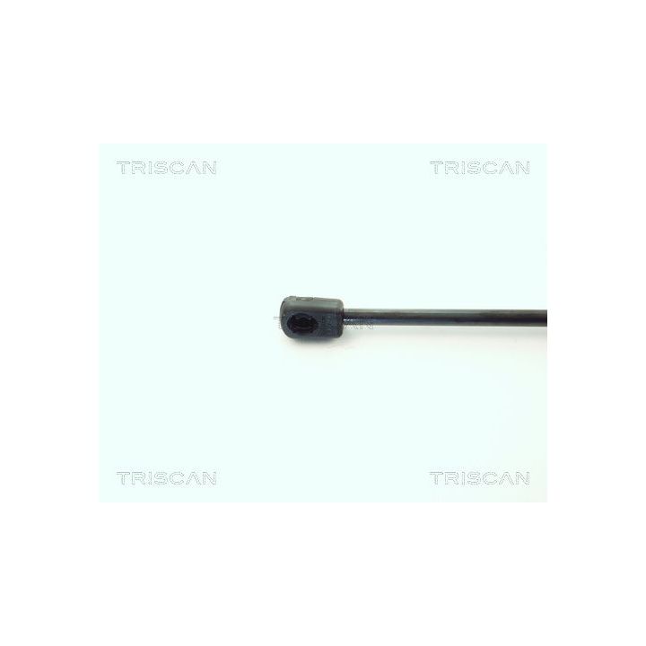 Dujinė spyruoklė, bagažinė TRISCAN 8710 1619