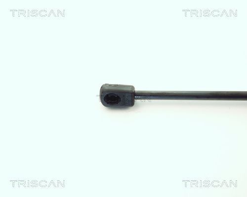 Dujinė spyruoklė, bagažinė TRISCAN 8710 1619