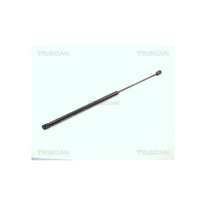 Dujinė spyruoklė, bagažinė TRISCAN 8710 1620