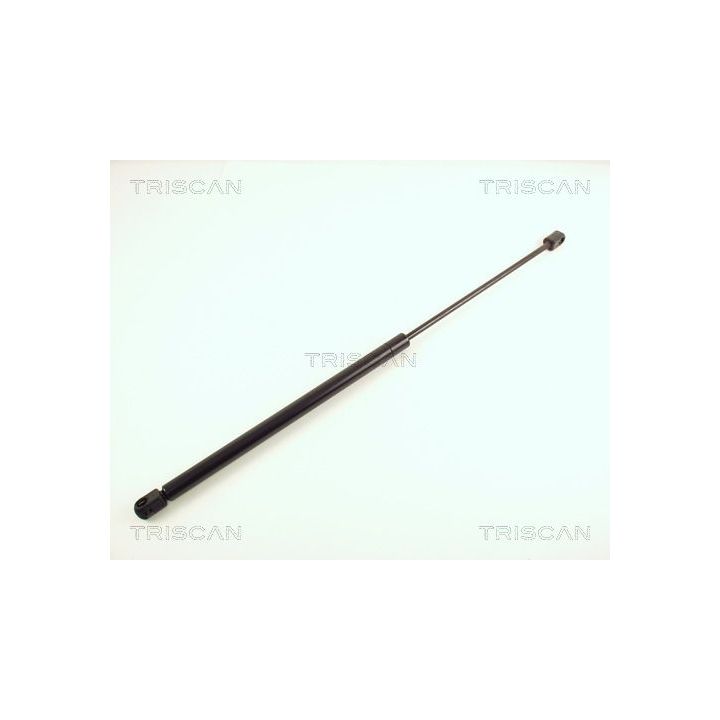 Dujinė spyruoklė, bagažinė TRISCAN 8710 16209