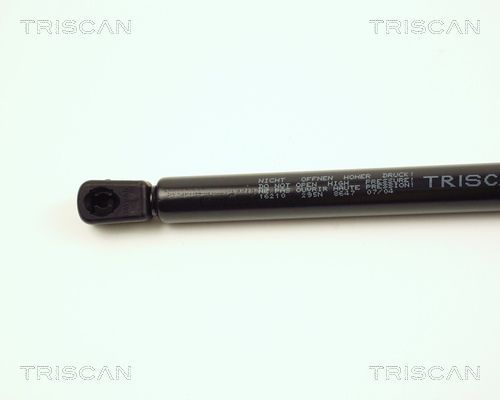 Dujinė spyruoklė, bagažinė TRISCAN 8710 16210