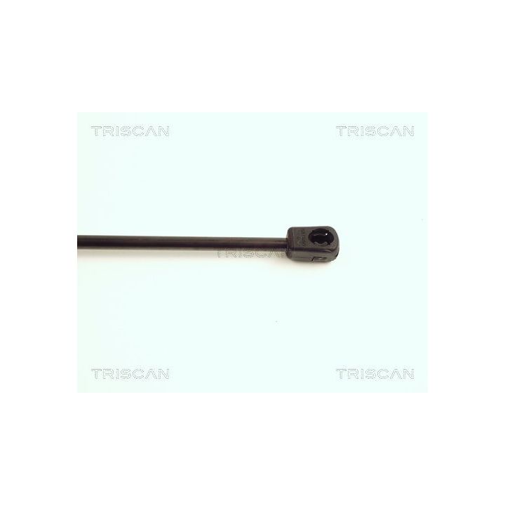 Dujinė spyruoklė, bagažinė TRISCAN 8710 16210