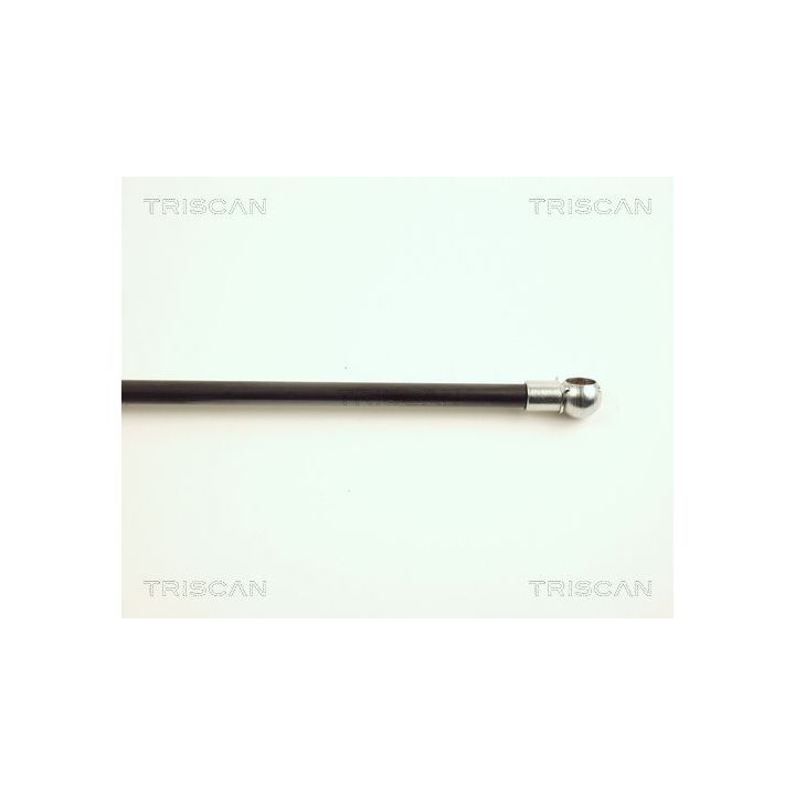 Dujinė spyruoklė, bagažinė TRISCAN 8710 16215