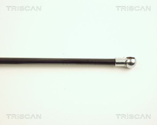 Dujinė spyruoklė, bagažinė TRISCAN 8710 16215