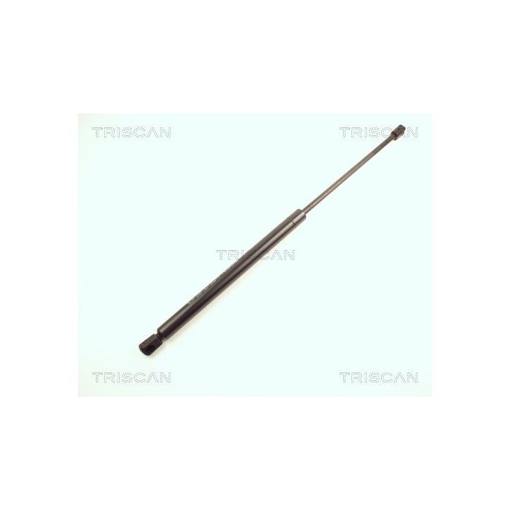 Dujinė spyruoklė, bagažinė TRISCAN 8710 16221