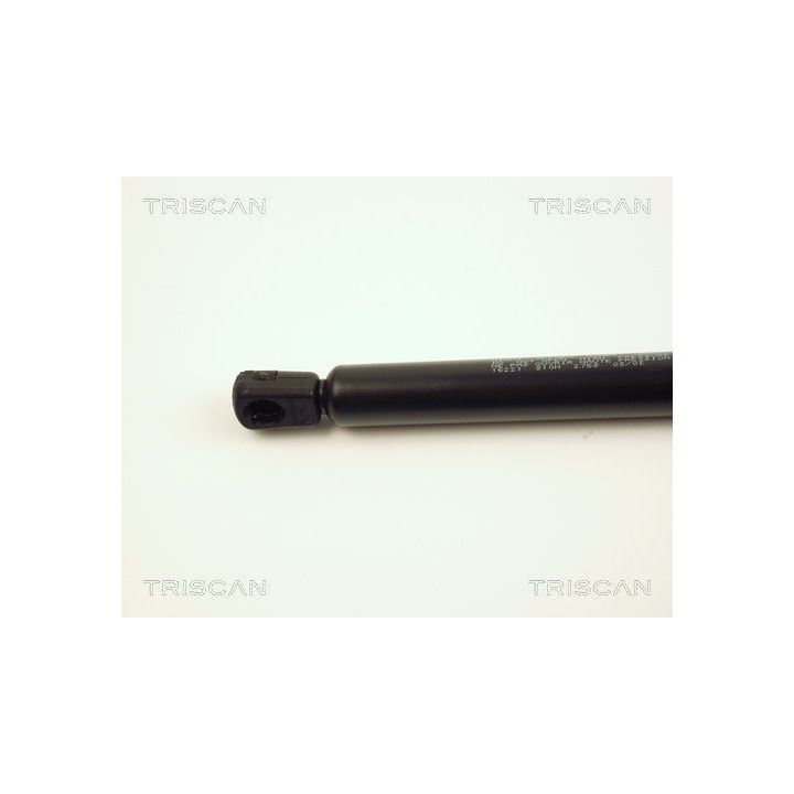 Dujinė spyruoklė, bagažinė TRISCAN 8710 16221