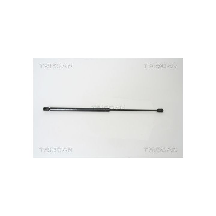 Dujinė spyruoklė, bagažinė TRISCAN 8710 16238