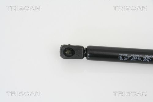 Dujinė spyruoklė, bagažinė TRISCAN 8710 16238