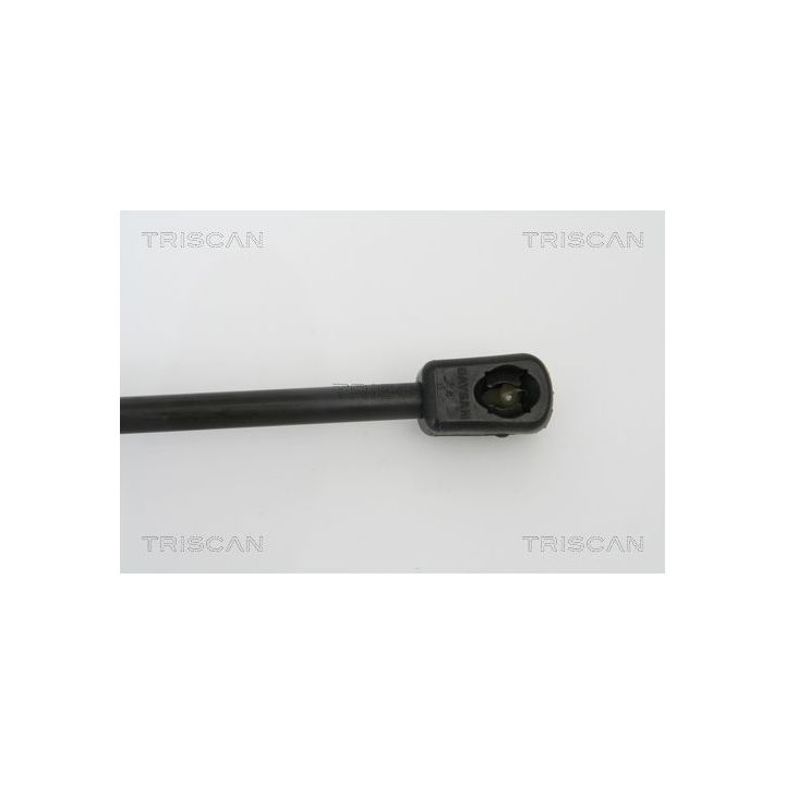 Dujinė spyruoklė, bagažinė TRISCAN 8710 16239