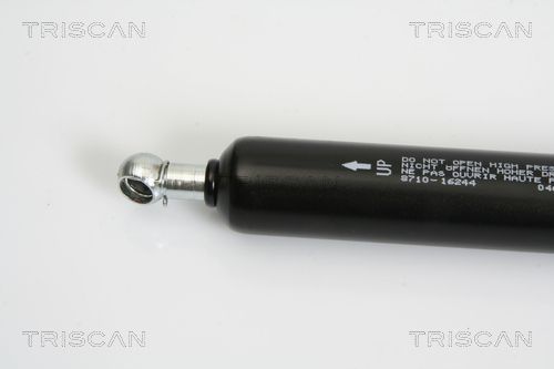 Dujinė spyruoklė, bagažinė TRISCAN 8710 16244