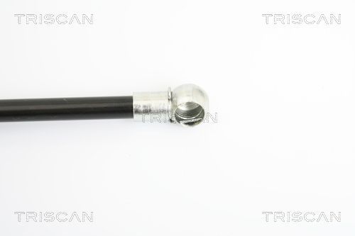 Dujinė spyruoklė, bagažinė TRISCAN 8710 16247
