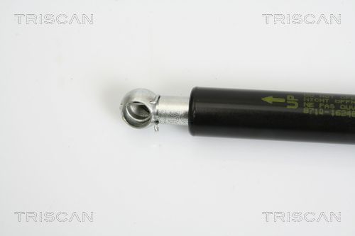 Dujinė spyruoklė, bagažinė TRISCAN 8710 16248