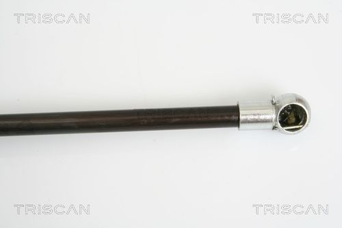 Dujinė spyruoklė, bagažinė TRISCAN 8710 16248