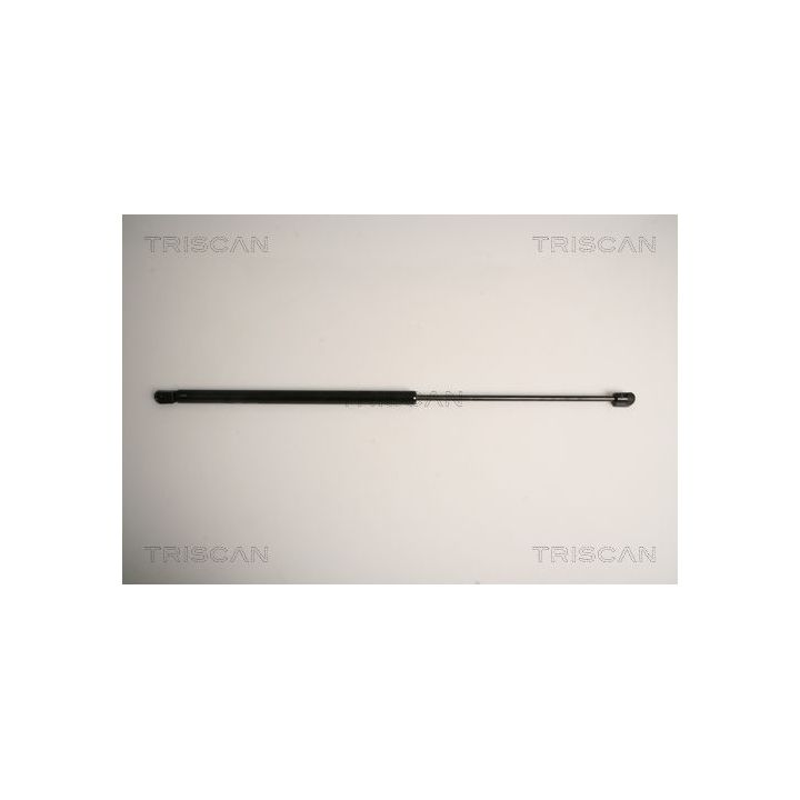 Dujinė spyruoklė, bagažinė TRISCAN 8710 16254