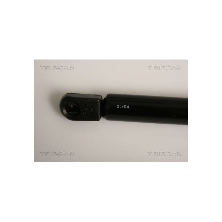 Dujinė spyruoklė, bagažinė TRISCAN 8710 16254