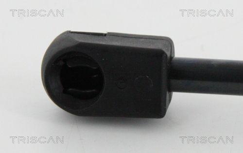 Dujinė spyruoklė, bagažinė TRISCAN 8710 16261
