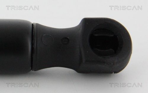 Dujinė spyruoklė, bagažinė TRISCAN 8710 16261