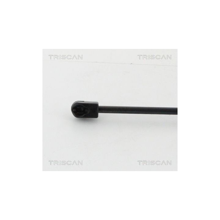 Dujinė spyruoklė, bagažinė TRISCAN 8710 16262